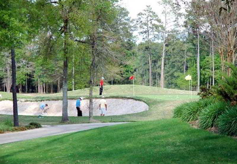 Heritage Place Houston Brookhollow Съоръжения снимка